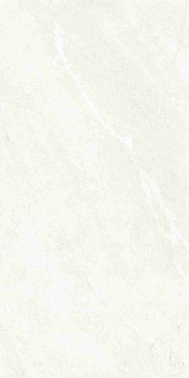 Dhara White Matte 24 x 48